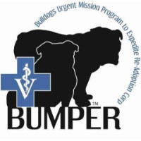 Bumper Bulldog Rescue